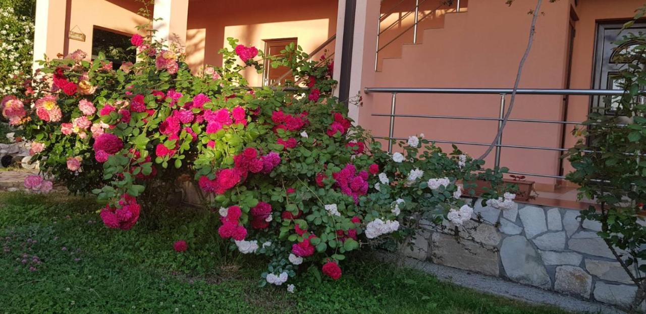 Villa Persik Утеха Екстериор снимка